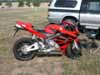 CBR 600 RR - sie hat's berlebt
