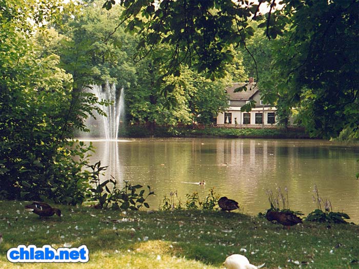 Schwanenteich

