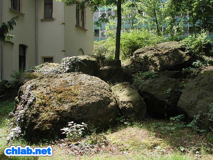 Teufelssteine an der Hochschule
