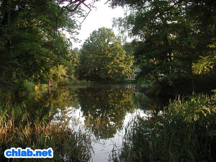 Der Ringethaler Inselteich

