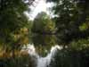 Der Ringethaler Inselteich
