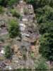 Wappenfelsen an der Zschopau
